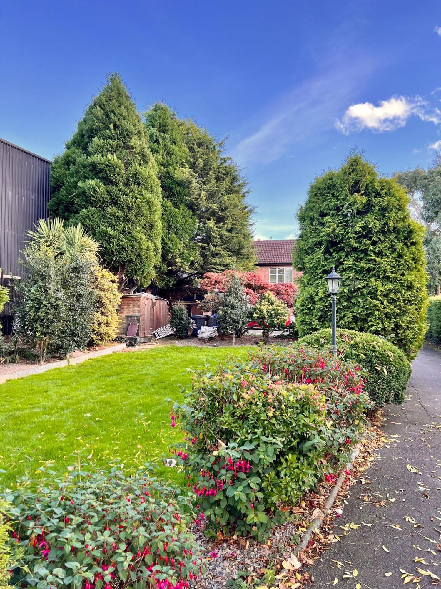 Ashfield Bed & Breakfast Belfast Exterior foto
